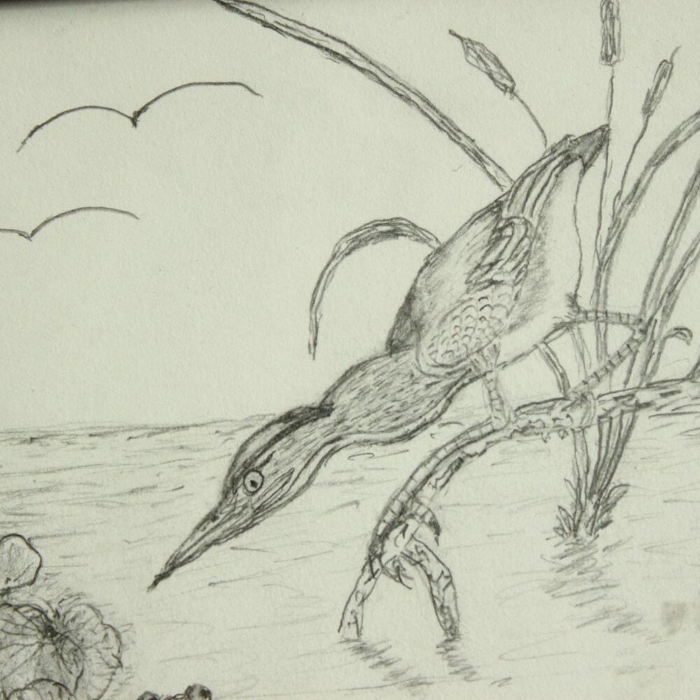Vintage 1990s 2000s Framed Print, Pencil Sketch of Heron and Frog, Black Frame - Picture 2 of 14